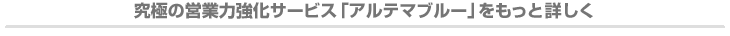 �p�b�P�[�W�b���ɂ̉c�Ɨ͋����T�[�r�X�u�A���e�}�u���[�v�������Əڂ���